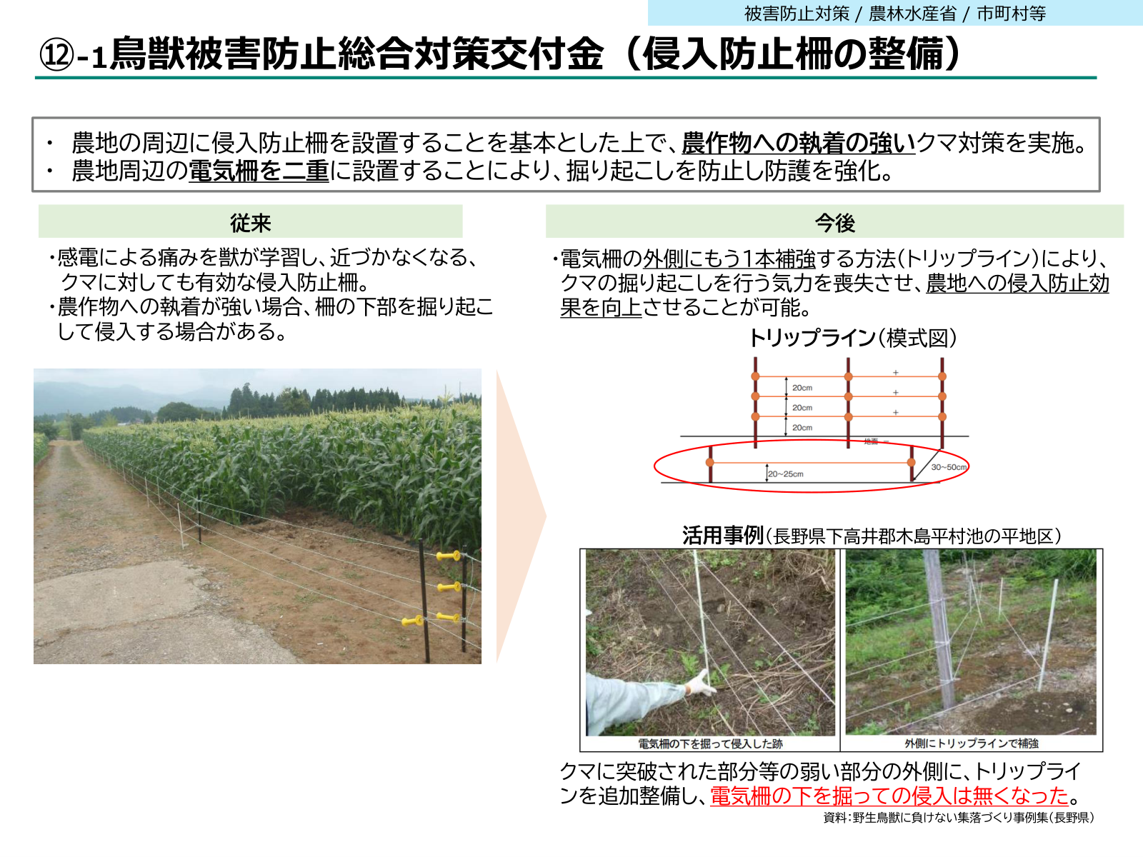 電気柵の外側に地上20〜25センチの高さで1本追加するトリップラインの模式図と、長野県木島平村での活用事例。掘って侵入した跡と、外側を補強した後の柵の写真。
