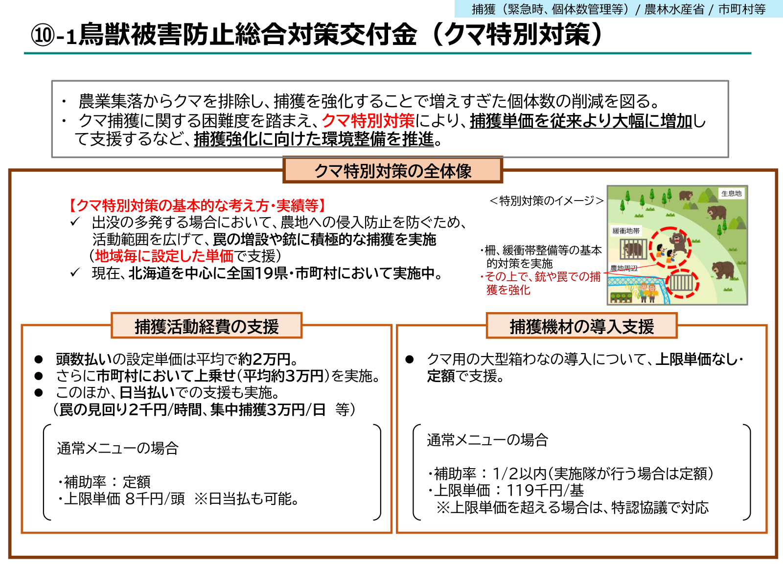 クマ特別対策の全体像。捕獲活動経費の支援は頭数払い平均約2万円と市町村上乗せ平均約3万円、捕獲機材はクマ用大型箱わなを上限単価なしの定額で支援。通常メニューは頭数8千円、箱わな上限119千円。