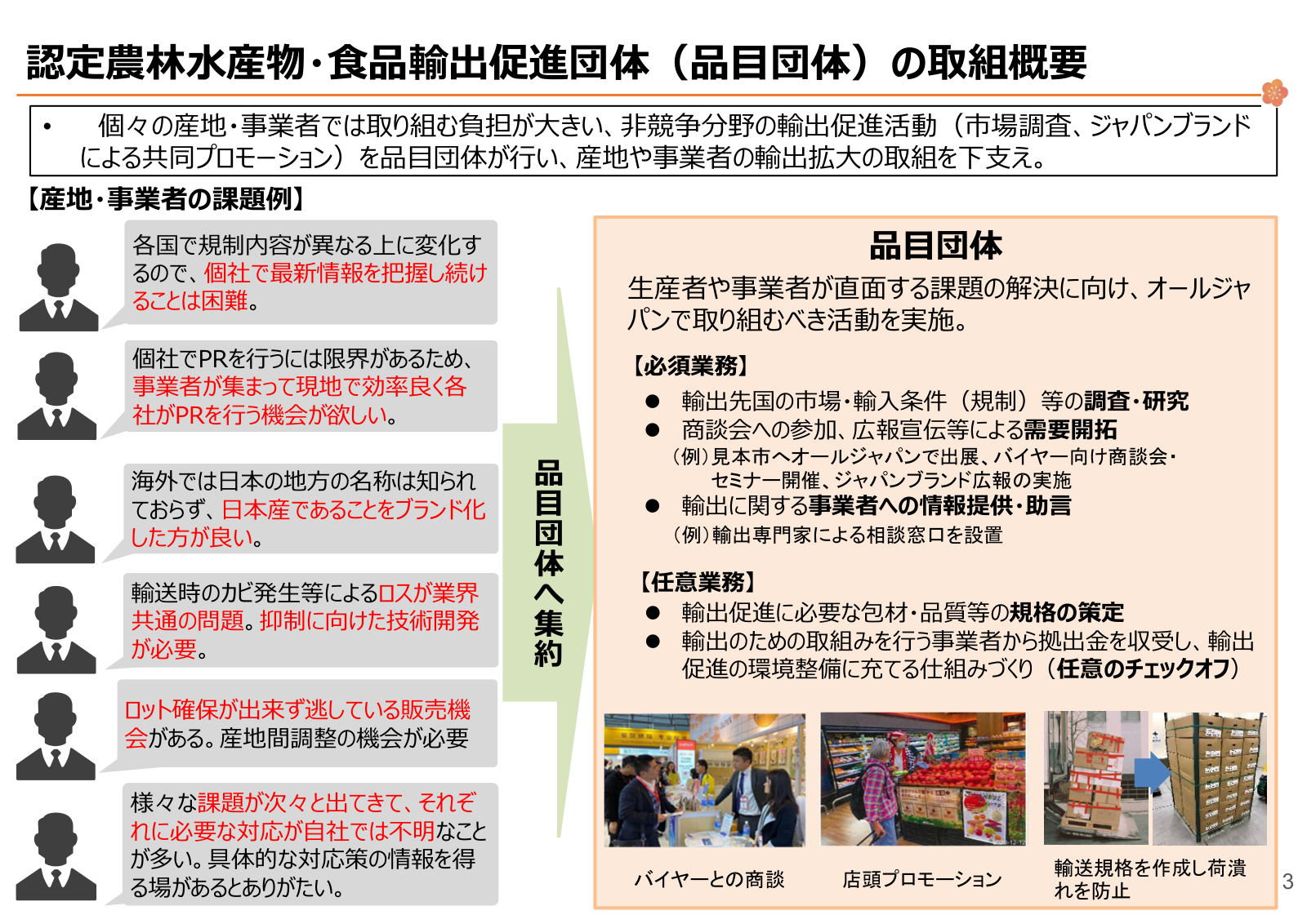 産地・事業者の課題例と品目団体の必須・任意業務、課題集約と商談・店頭プロモーションの模式図。