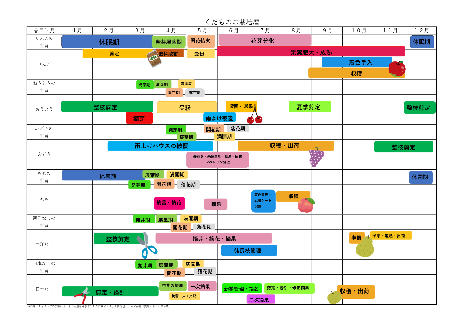 くだものの栽培暦。おうとうは1月から2月に整枝剪定、3月に摘芽、4月から5月に受粉、5月から6月に雨よけ被覆、6月から7月に収穫・選果、8月に夏季剪定、12月に整枝剪定と作業が続く。