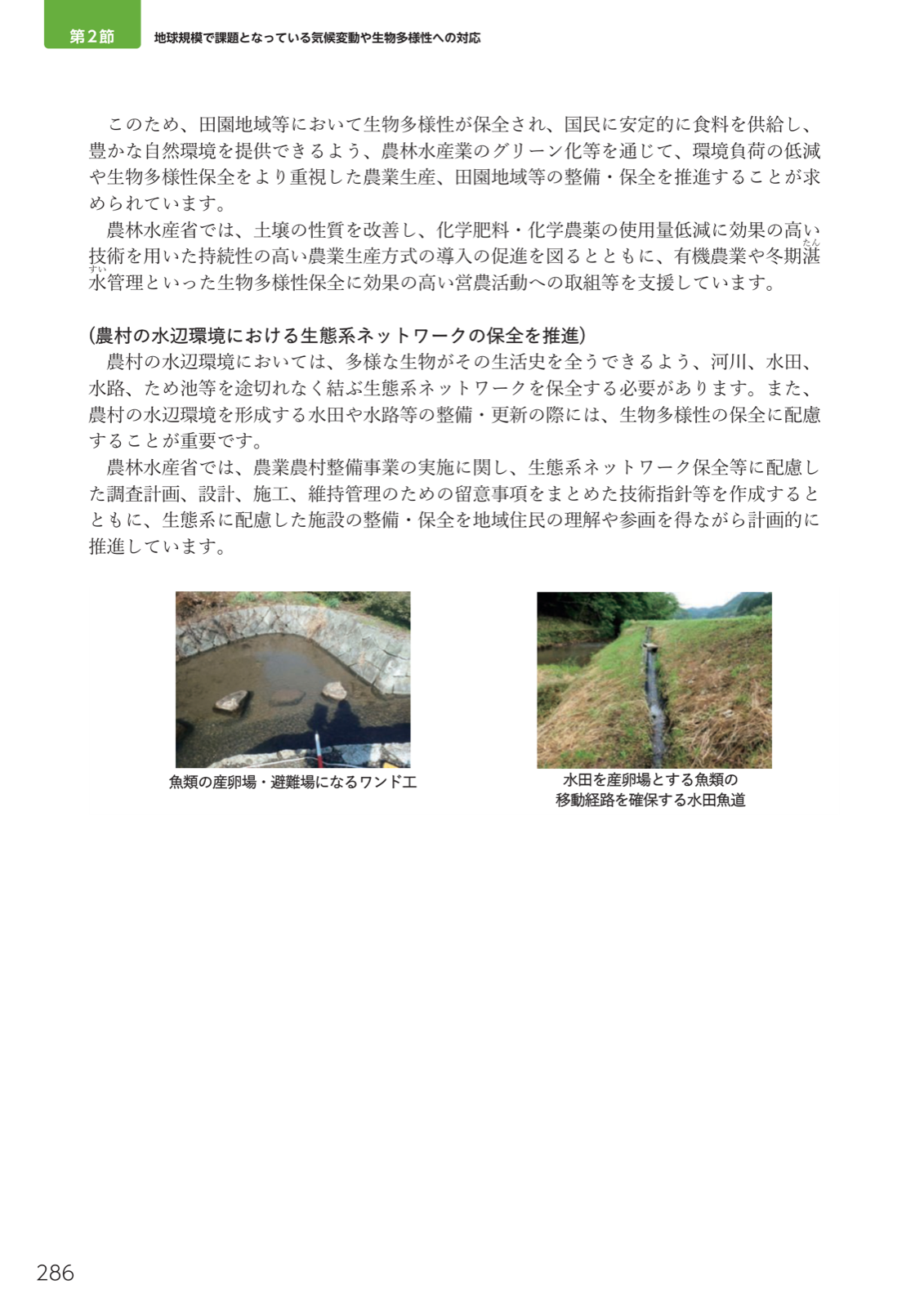 農村の水辺環境における生態系ネットワーク保全。ワンド工、水田魚道。河川・水田・水路・ため池を結ぶ保全の推進。