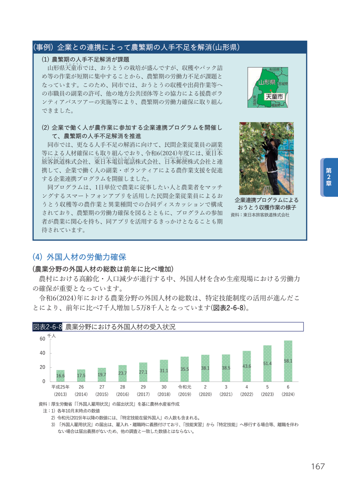 農業分野の外国人人材5.8万人（令和6年）。山形県天童市の企業連携プログラムによるおうとう収穫支援。