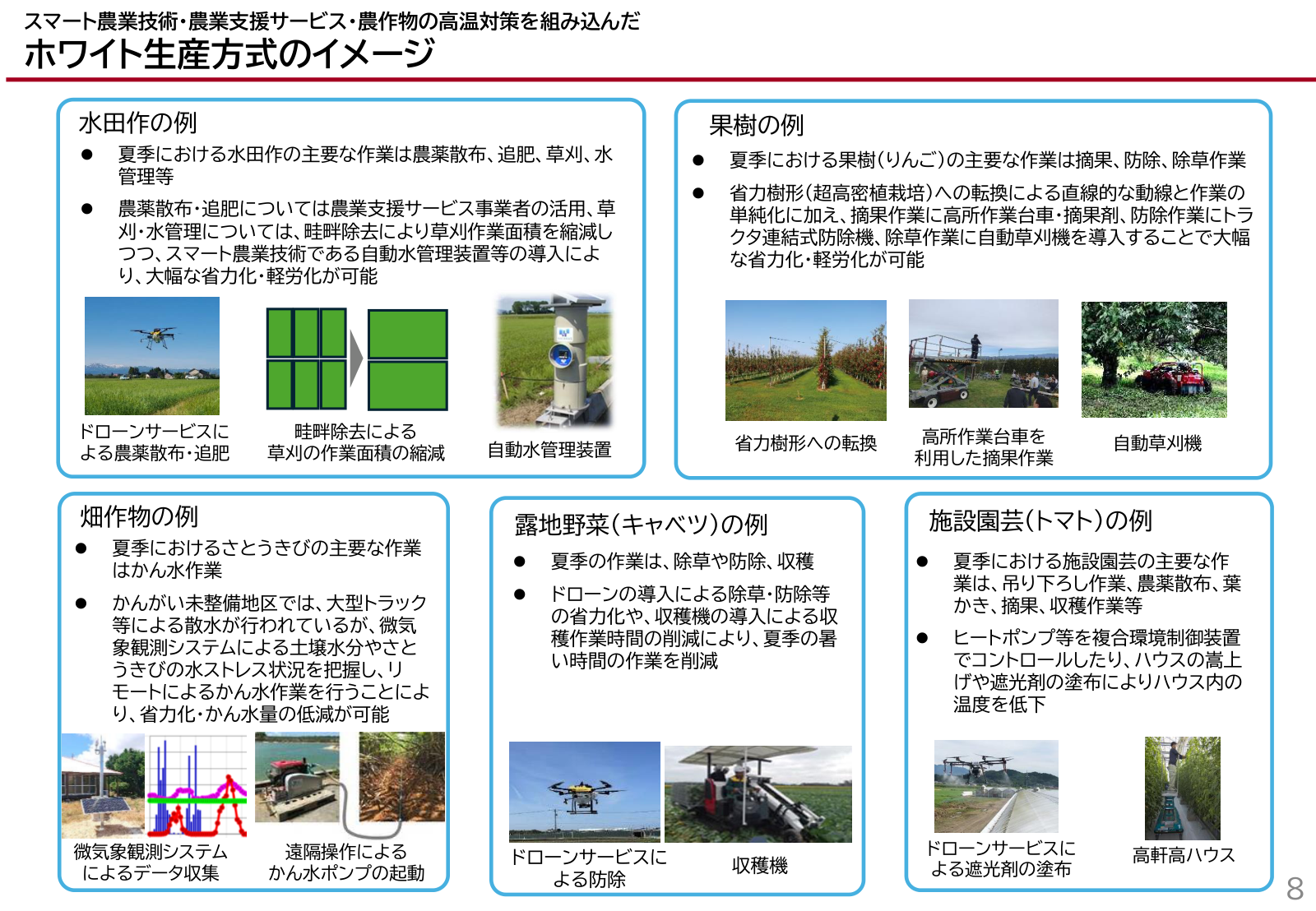 水田作・果樹・施設園芸など品目別のホワイト生産方式の例