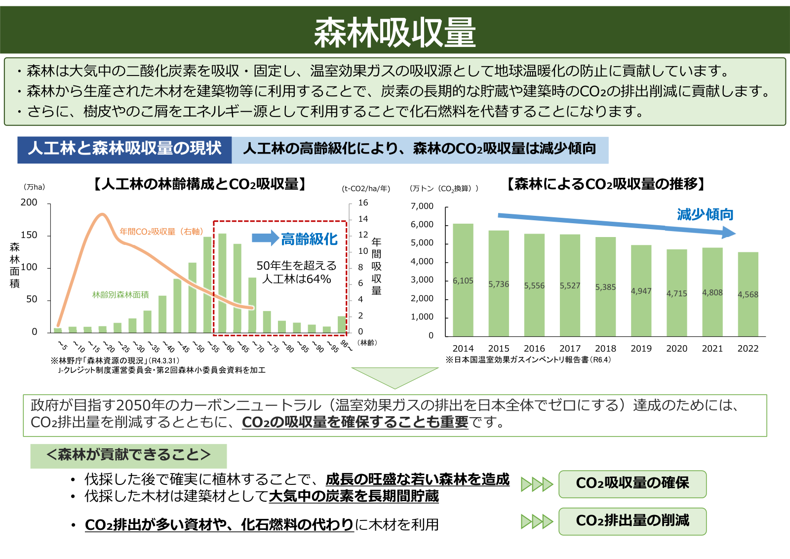 森林吸収量の全体像。森林のCO₂吸収・固定、人為林の林齢構成と年間吸収量の関係、2014〜2022年の全国森林吸収量の推移、2050年カーボンニュートラルに向けた吸収量確保と排出削減の2つの柱。