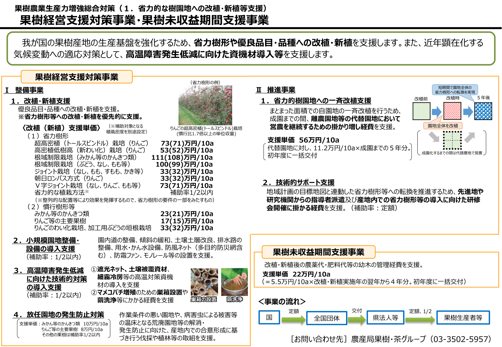 果樹経営支援対策事業と果樹未収益期間支援事業の説明資料。省力樹形と慣行樹形の改植・新植支援単価の一覧、小規模園地整備や高温障害対策の支援、一斉改植支援56万円、幼木管理経費22万円、国から全国団体・県法人等を経て果樹生産者に交付される事業の流れを示す。