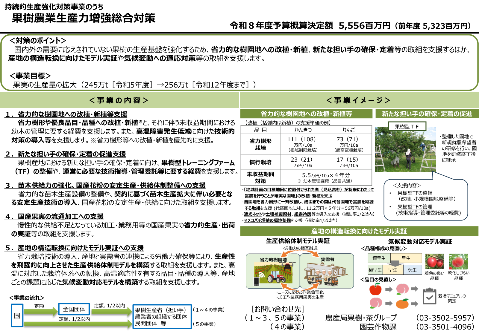 果樹農業生産力増強総合対策の全体像。省力的な樹園地への改植・新植等支援、新たな担い手の確保・定着の促進、苗木供給力の強化と国産花粉の安定生産、国産果実の流通加工への支援、産地の構造転換に向けたモデル実証の5つの事業内容と、令和8年度予算概算決定額5,556百万円を示す資料。