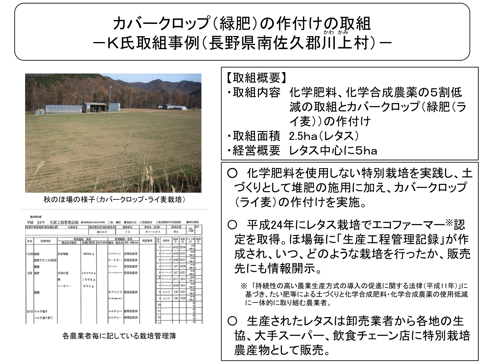 長野県川上村のライ麦カバークロップを作付けたほ場の様子