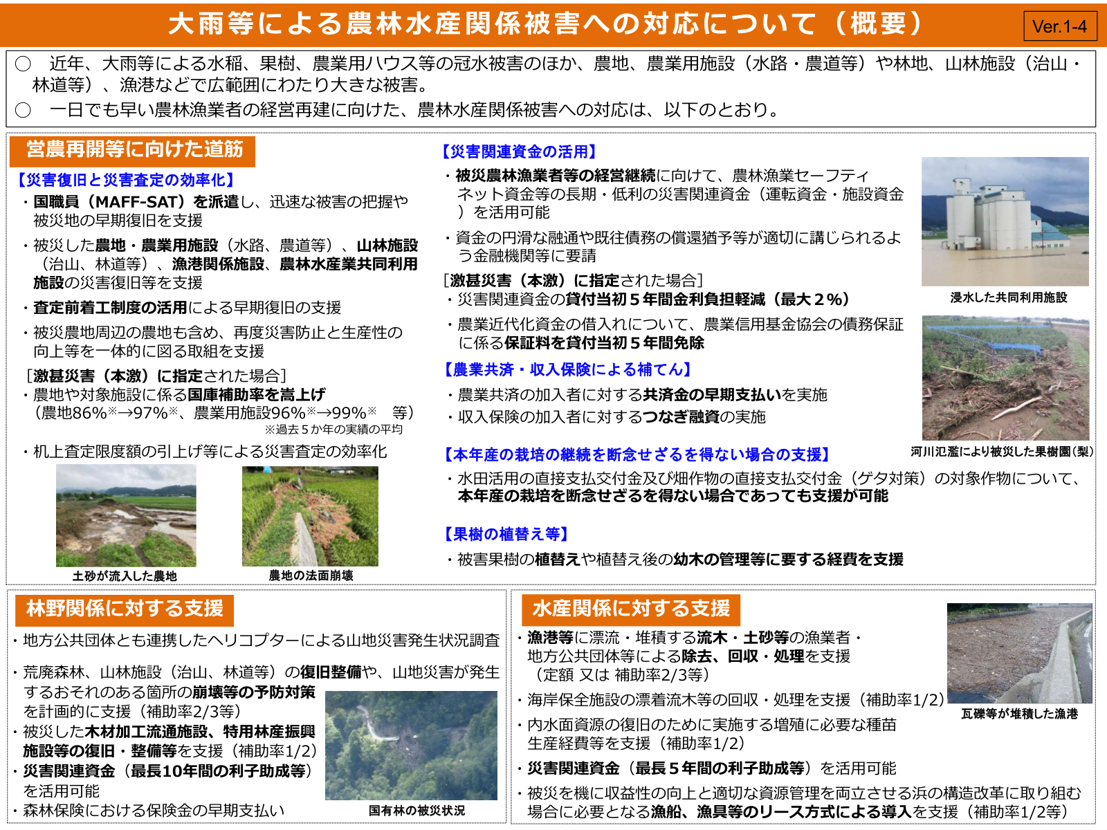 大雨等による農林水産関係被害への対応の概要図。営農再開の道筋、災害復旧と査定の効率化、災害関連資金、農業共済・収入保険、直接支払の特例、果樹植替え、水産・林野の支援が一画面に整理されている。