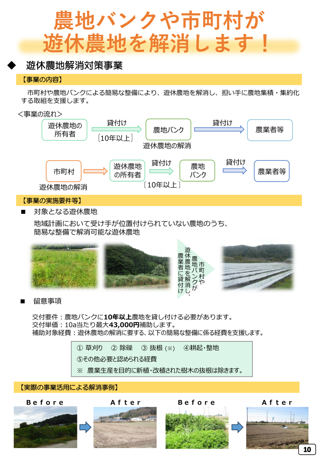遊休農地解消対策事業の概要。対象農地、交付要件と補助単価、整備内容、事業の流れ、解消事例のBefore/After。