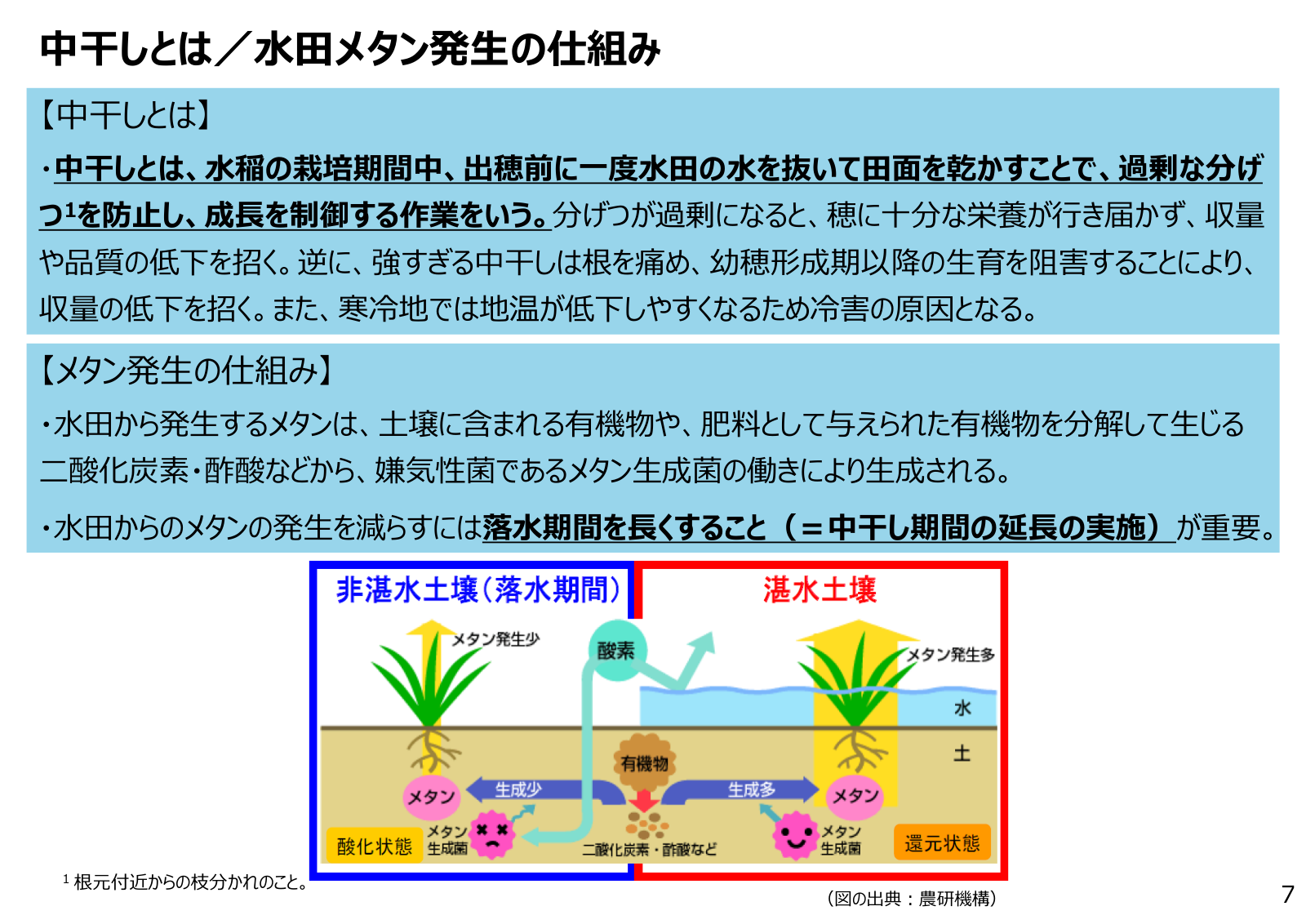 中干しとは何かと水田からのメタン発生の仕組みを土壌断面図で解説した農林水産省資料。