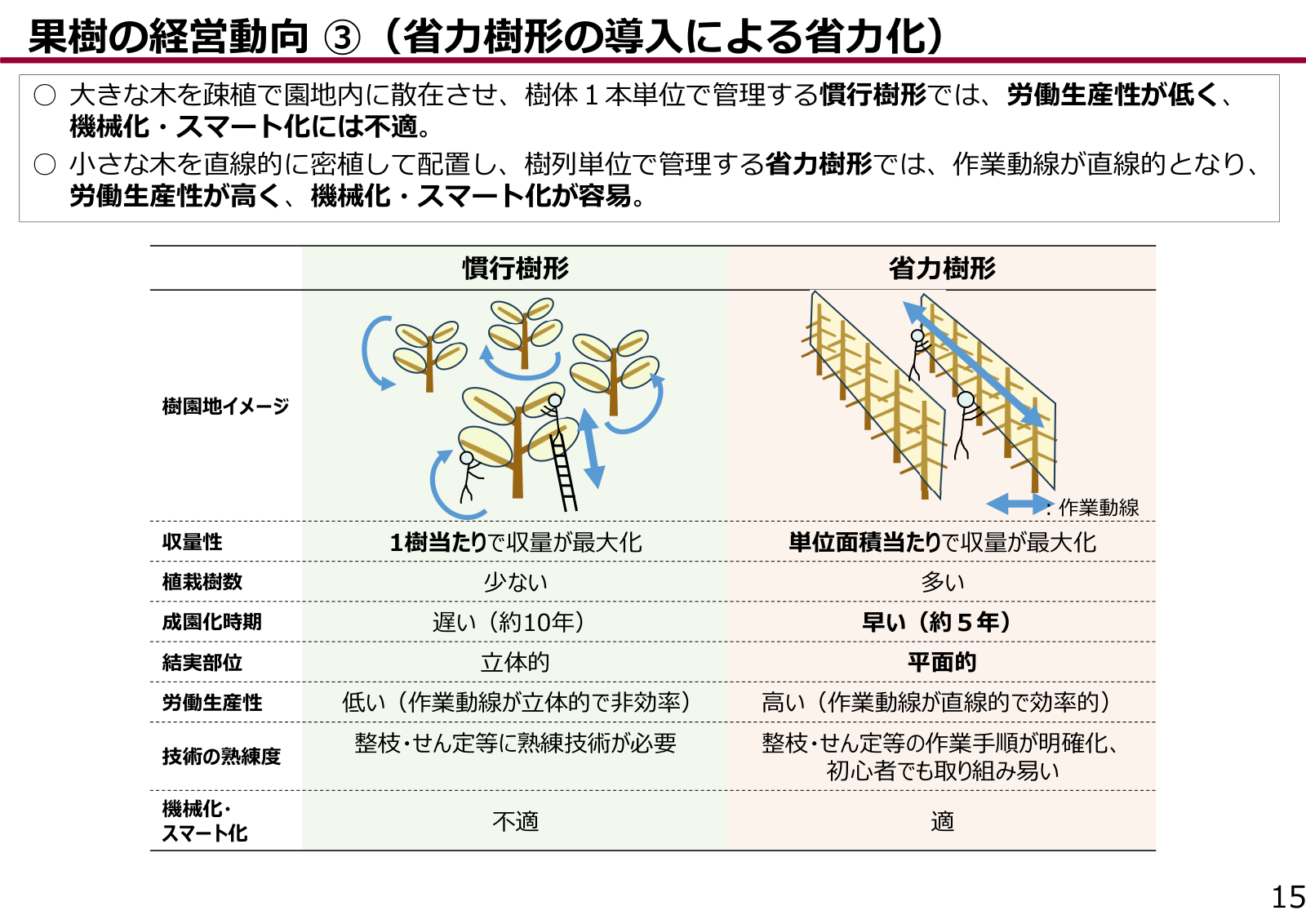 慣行樹形と省力樹形の比較表。慣行樹形は植栽樹数が少なく成園化時期が遅い約10年、省力樹形は植栽樹数が多く成園化時期が早い約5年で、労働生産性が高く機械化・スマート化に適する。