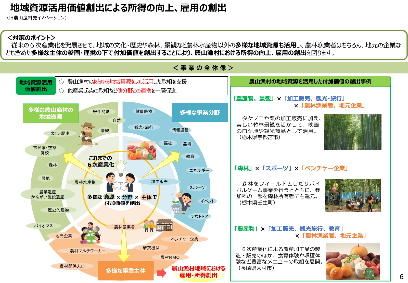 地域資源活用価値創出の対策ポイントと事業全体像。多様な地域資源×事業分野×事業主体で付加価値を創出。宇都宮市・壬生町・大村市の事例。