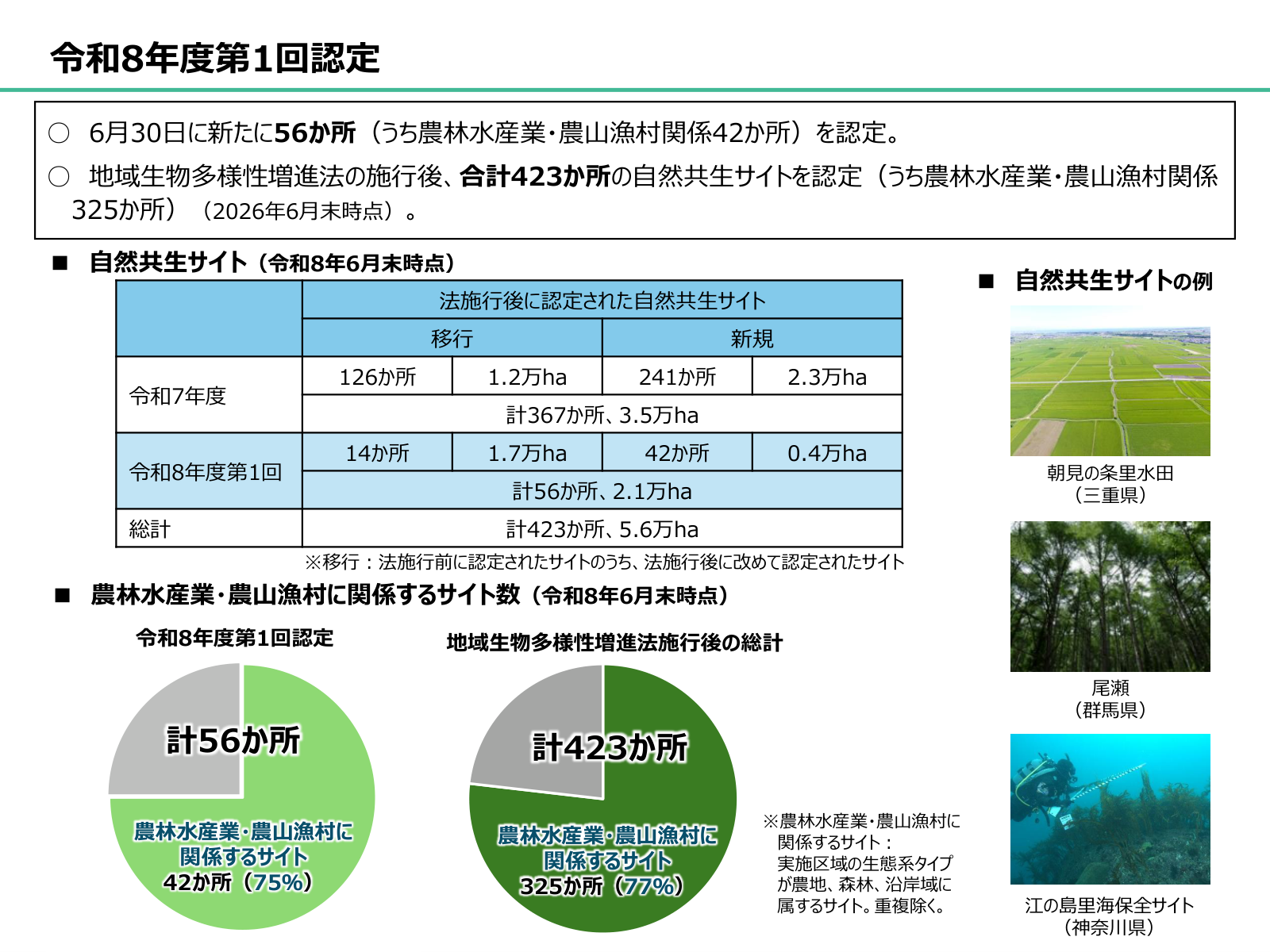 令和8年度第1回認定の内訳図。法施行後に認定された自然共生サイトは令和7年度が計367か所（3.5万ha）、令和8年度第1回が計56か所（2.1万ha）で、総計423か所（5.6万ha）。農林水産業・農山漁村に関係するサイトは令和8年度第1回で42か所（75%）、総計で325か所（77%）。自然共生サイトの例として朝見の条里水田（三重県）、尾瀬（群馬県）、江の島里海保全サイト（神奈川県）を示す。