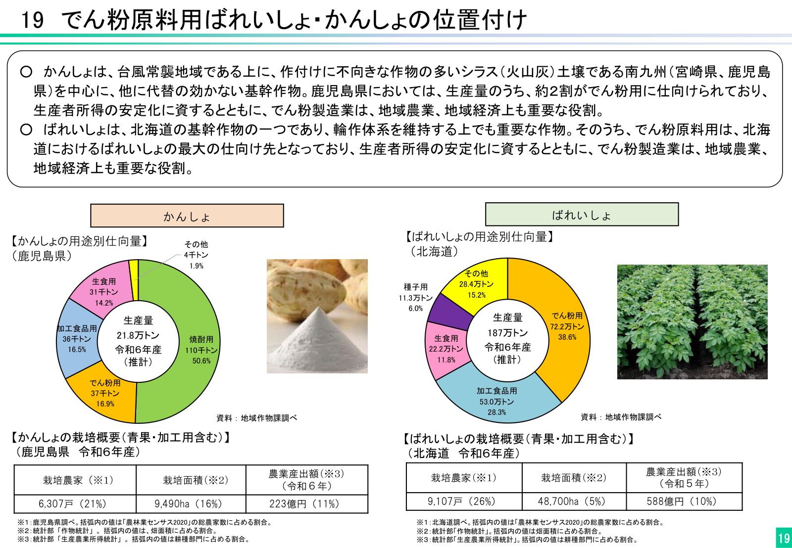 でん粉原料用かんしょ・ばれいしょの位置付け。かんしょ（鹿児島県）は生産量21.8万トンのうちでん粉用が37千トン（16.9％）、焼酎用が110千トン（50.6％）。ばれいしょ（北海道）は生産量187万トンのうちでん粉用が72.2万トン（38.6％）で最大の仕向け先。栽培農家はかんしょ6,307戸・ばれいしょ9,107戸。