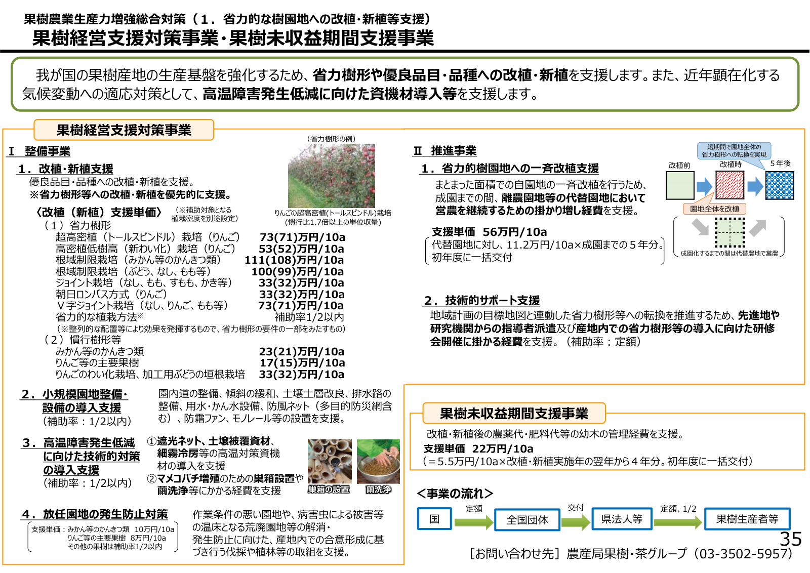 果樹経営支援対策事業と果樹未収益期間支援事業の支援単価一覧。ジョイント栽培（なし、もも、すもも、かき等）33万円、慣行樹形のりんご等の主要果樹17万円、未収益期間22万円、一斉改植56万円などが記載されている。