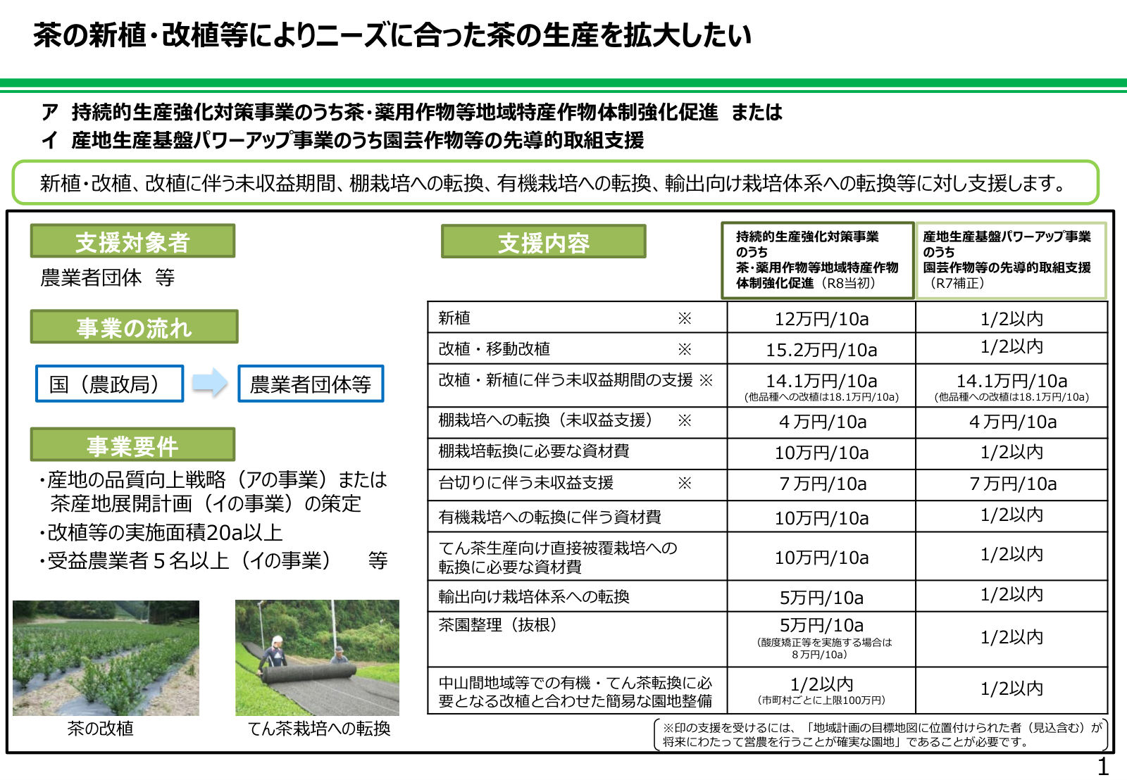 茶の新植・改植等の支援内容の一覧。支援対象者は農業者団体等、事業の流れは国（農政局）から農業者団体等へ。事業要件は産地の品質向上戦略または茶産地展開計画の策定、改植等の実施面積20アール以上、受益農業者5名以上など。新植12万円、改植・移動改植15.2万円、改植・新植に伴う未収益期間14.1万円（他品種18.1万円）、棚栽培転換未収益4万円、台切り未収益7万円などの支援単価を、体制強化促進事業と産地生産基盤パワーアップ事業で比較した表。