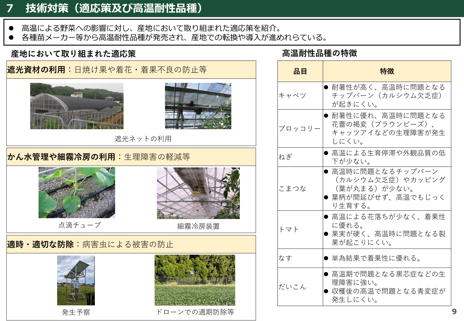 産地生産基盤パワーアップ事業による高温対策栽培技術と生産資材導入の支援。