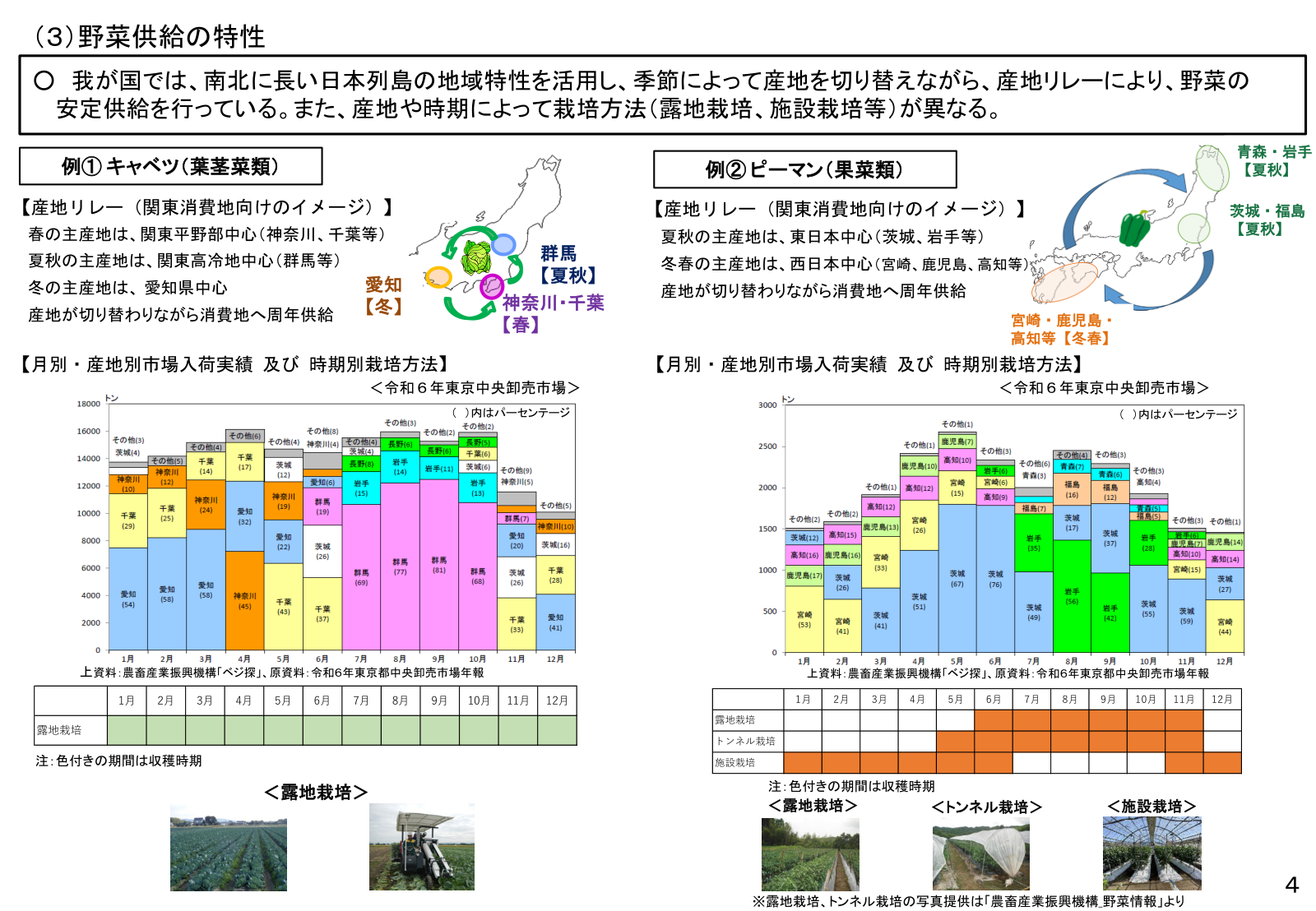関東向けキャベツ・ピーマンの産地リレー。春は神奈川・千葉、夏秋は群馬・茨城、冬は愛知・宮崎など。露地・トンネル・施設栽培の切替。